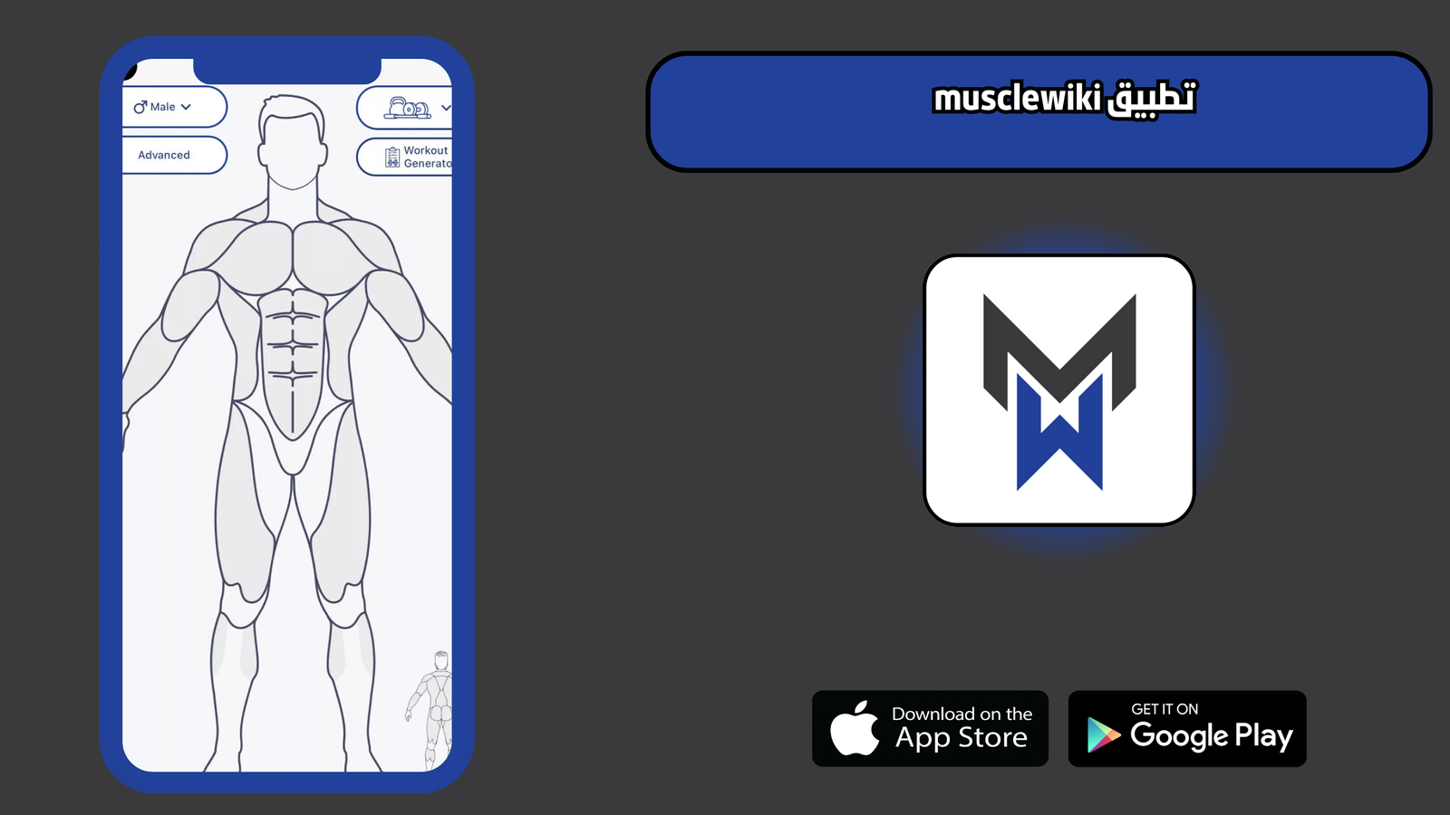 تحميل تطبيق musclewiki للاندرويد والايفون 2025 اخر اصدار مجانا