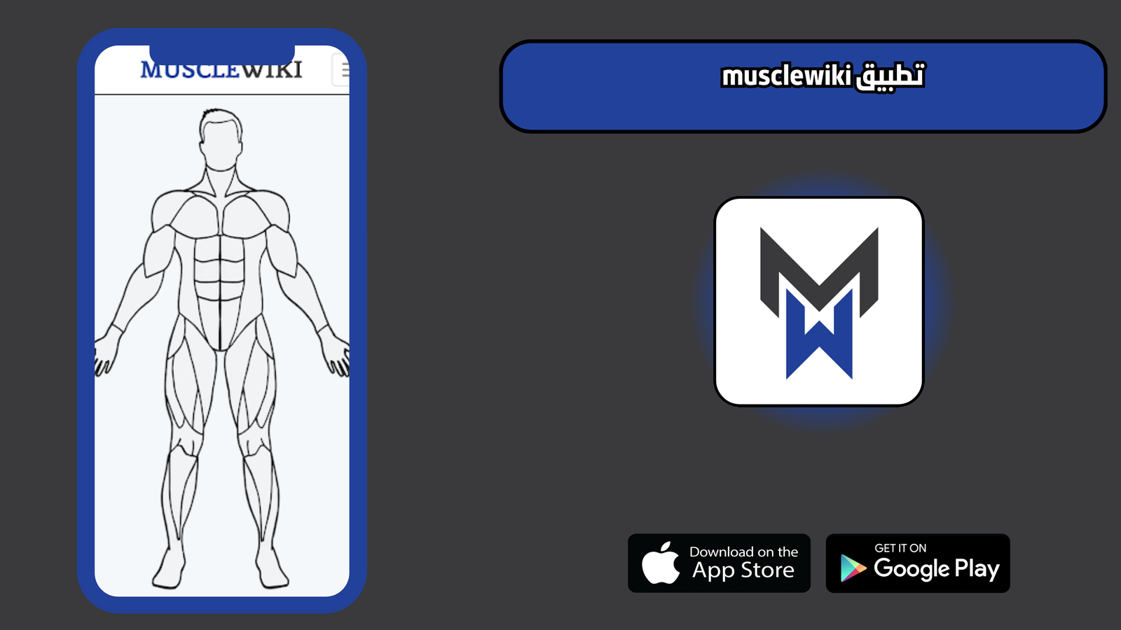 تحميل تطبيق musclewiki للاندرويد والايفون 2025 اخر اصدار مجانا