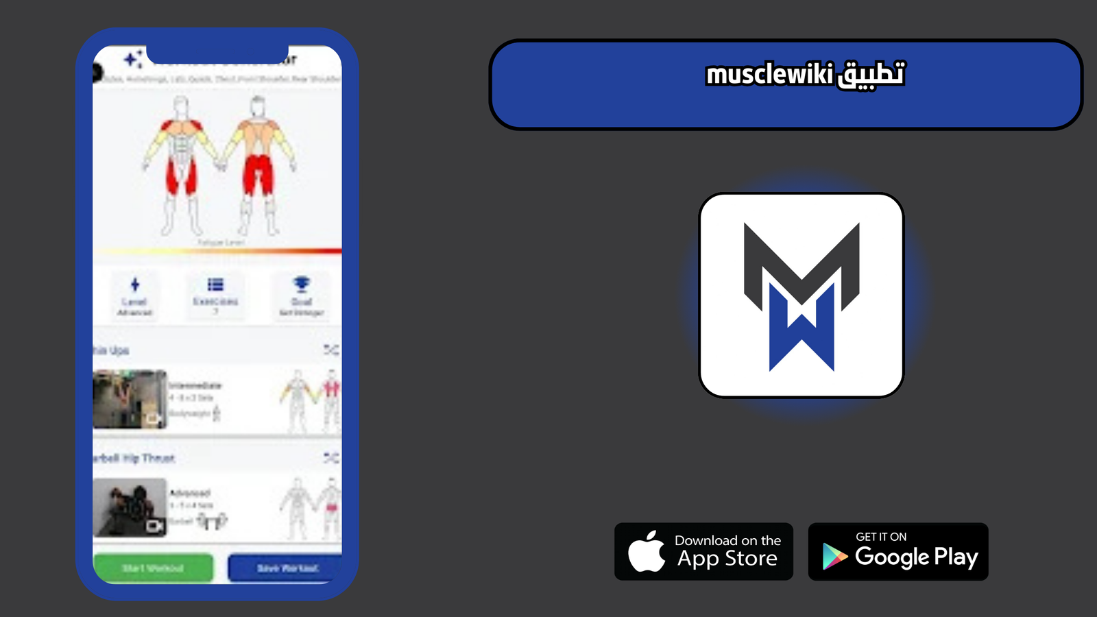 تحميل تطبيق musclewiki للاندرويد والايفون 2025 اخر اصدار مجانا