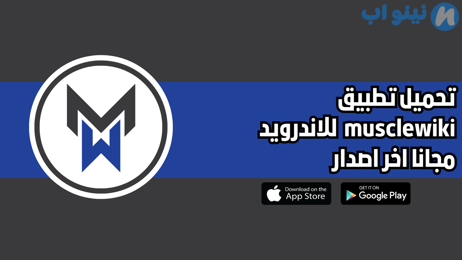 تحميل تطبيق musclewiki للاندرويد والايفون 2025 اخر اصدار مجانا